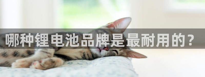 尊龙新版手机app下载