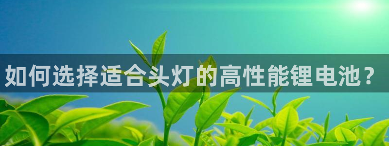 尊龙app下载官网