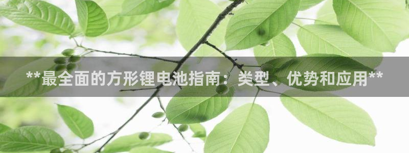 尊龙游戏app官方网站