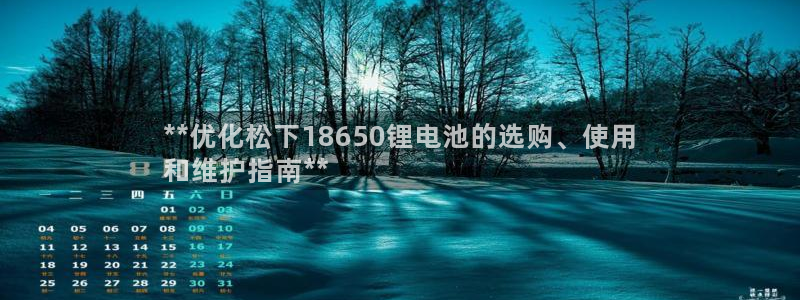 尊龙ag旗舰厅官网登录：**优化松下18650锂电池的选购、使用
和维护指南**