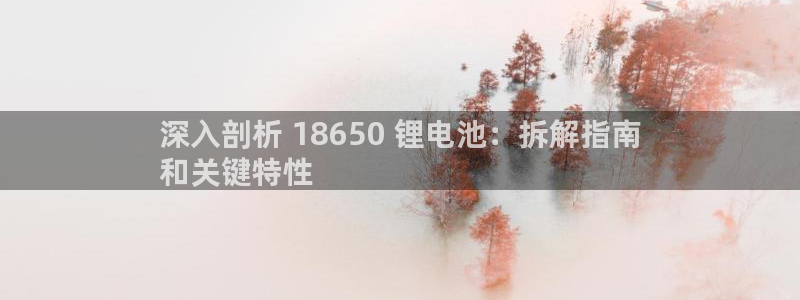 尊龙人生就要博旧版：深入剖析 18650 锂电池：拆解指南
和关键特性