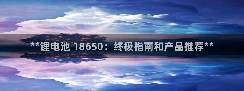 尊龙这个平台怎么样：**锂电池 18650：终极指南和产品推荐**