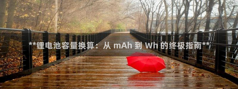 凯时最新官方APP下载：**锂电池容量换算：从 mAh 到 Wh 的终极指南**