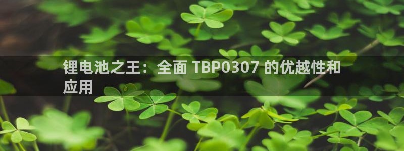 尊龙d88官网赢来就送38：锂电池之王：全面 TBP0307 的优越性和
应用